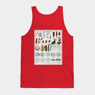 Micro Biology Life Vintage Poster Tank Top